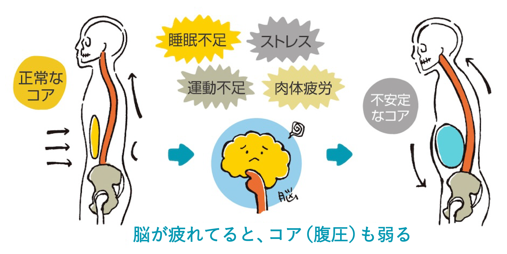 脳が疲れてると、コア(腹圧)も弱る