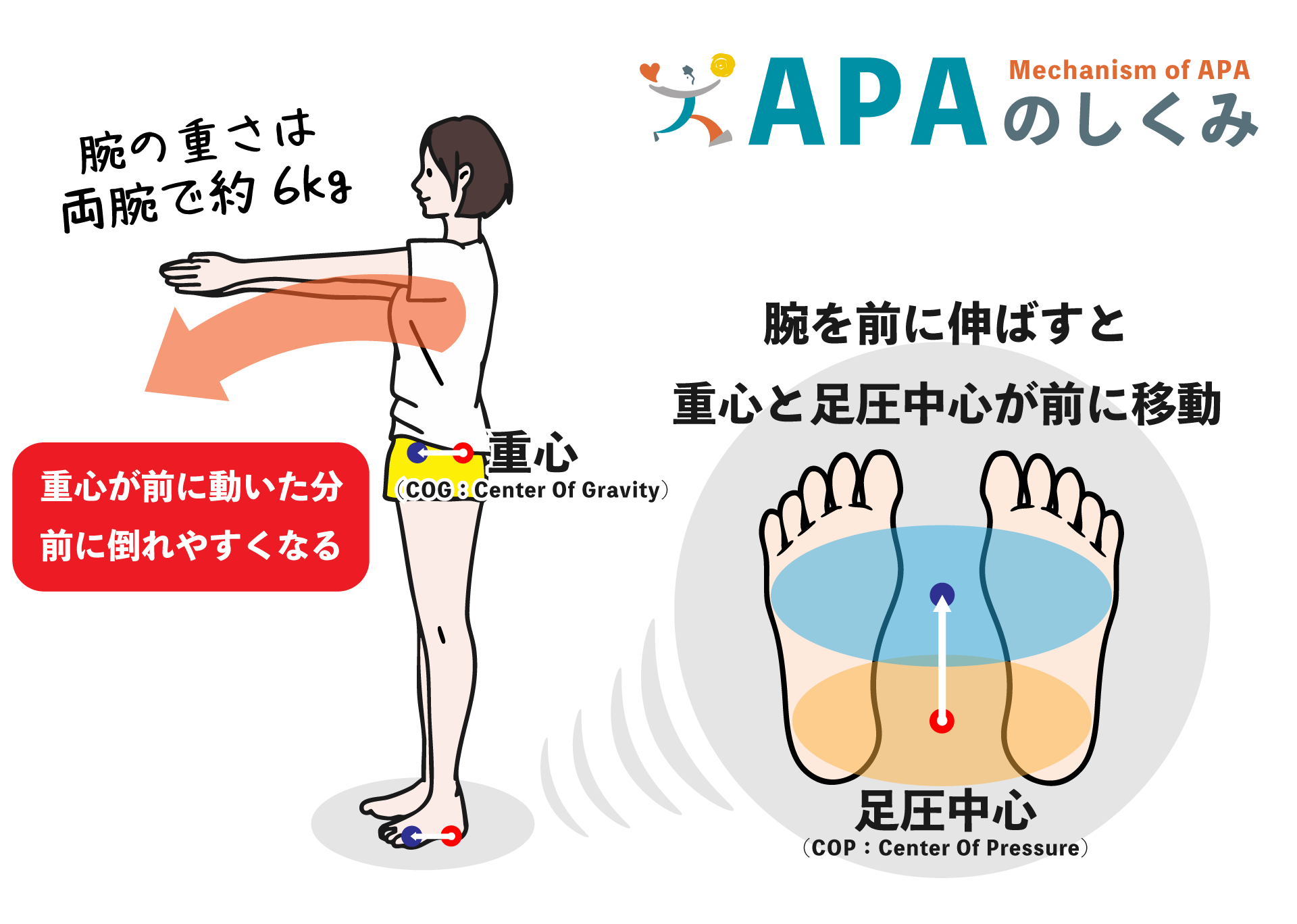 腹圧(APA)の働く仕組み